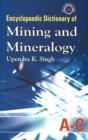 Image for Encyclopaedic Dictionary of Mining &amp; Mineralogy, 5-Volume Set