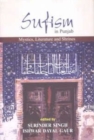 Image for Sufism in Punjab: Mystics, Literatures and Shrines