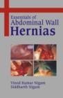 Image for Essentials of Abdominal Wall Hernias