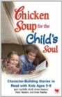 Image for Chicken Soup for the Childs Soul
