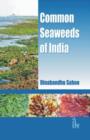 Image for Common Seaweeds of India