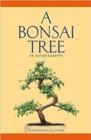 Image for A Bonsai Tree