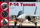 Image for F-14 Tomcat