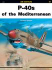 Image for P-40s of the Mediterranean