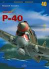 Image for Curtiss P-40 Vol. II