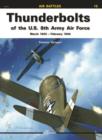 Image for Thunderbolts of the U.S. 8th Army Air Force