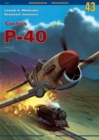 Image for Curtiss P-40 Vol. III