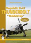 Image for Republic P-47 Thunderbolt &quot;Bubbletop&quot;