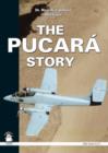 Image for The Pucara Story