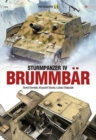 Image for Sturmpanzer Iv BrummbaR