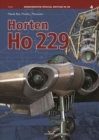 Image for Horten Ho 229