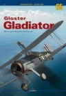 Image for Gloster Gladiator Mk I and II (and Sea Gladiator)