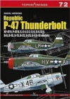 Image for Republic P-47 Thunderbolt XP-47B, B, C, D, G