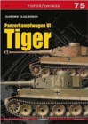 Image for Panzerkampfwagen vi Tiger
