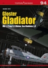 Image for Gloster Gladiator : Mk. I, I Trop, II, II Meteo, Sea Gladiator, J-8
