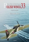 Image for Polish Wings No. 33 Ilyushin Il-2