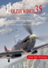 Image for Supermarine Spitfire V  : Polish squadrons over Dieppe