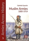 Image for Muslim Armies 1800-1914
