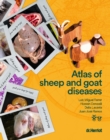 Image for Atlas of Sheep and Goat Diseases