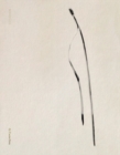 Image for Txema Yeste: Needles