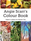 Image for Angie Scarr&#39;s Colour Book