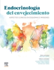 Image for Endocrinología Del Envejecimiento: Aspectos Clínicos En Esquemas E Imágenes