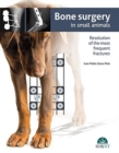 Image for Bone surgery in small animals
