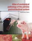 Image for Atlas of anatomical pathology of the gastrointestinal system of swine