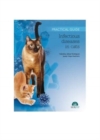 Image for Infectious Diseases in Cats. Practical Guide