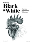 Image for Exploring black &amp; white  : drawing and painting techniques