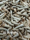 Image for Ai Weiwei : Resetting Memories