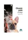 Image for Chronic Pain in Dogs