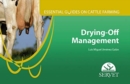 Image for Drying-off Management. Essential Guides on Cattle Farming