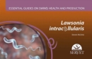 Image for Lawsonia intracellularis - Essential guides on swine health and production.