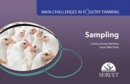 Image for Sampling. Main challenges in poultry farming.