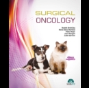 Image for Surgical oncology