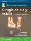 Image for Vias de abordaje de cirugia de pie y tobillo. Un enfoque anatomico