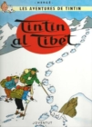 Image for Tintin in Catalan : Tintin al Tibet