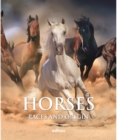 Image for Horses : Breeds and Origins