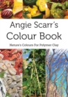 Image for Angie Scarr&#39;s Colour Book