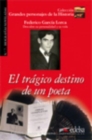 Image for Grandes Personajes de la Historia - Biografias noveladas : El tragico destino