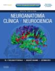 Image for Neuroanatomia clinica y neurociencia + StudentConsult