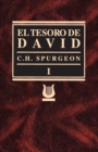 Image for Tesoro de David Volumen I