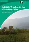 Image for A Little Trouble in the Yorkshire Dales Level 3 Lower-intermediate American English