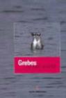 Image for Grebes of Our World