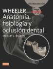 Image for Wheeler Anatomia, fisiologia y oclusion dental: 75 aniversario