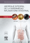 Image for Abordaje integral de la enfermedad inflamatoria intestinal: Clinicas Iberoamericanas de Gastroenterologia y Hepatologia