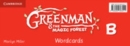 Image for Greenman and the Magic Forest B Wordcards (Pack of 48)