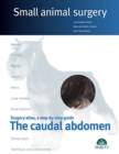 Image for The caudal abdomen. Small animal surgery