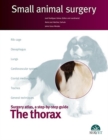 Image for The thorax, Small animal surgery